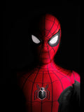 Spider Man Paint By Number Kit