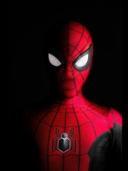 Spider Man Paint By Number Kit